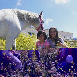 disfrutando del campo