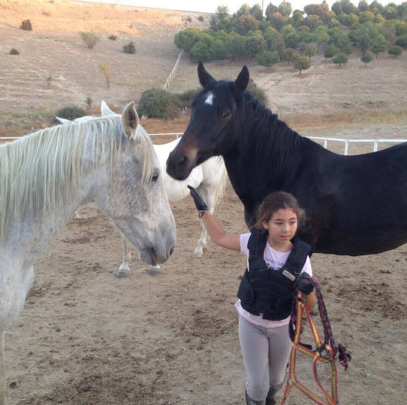 En el prado cogiendo caballos