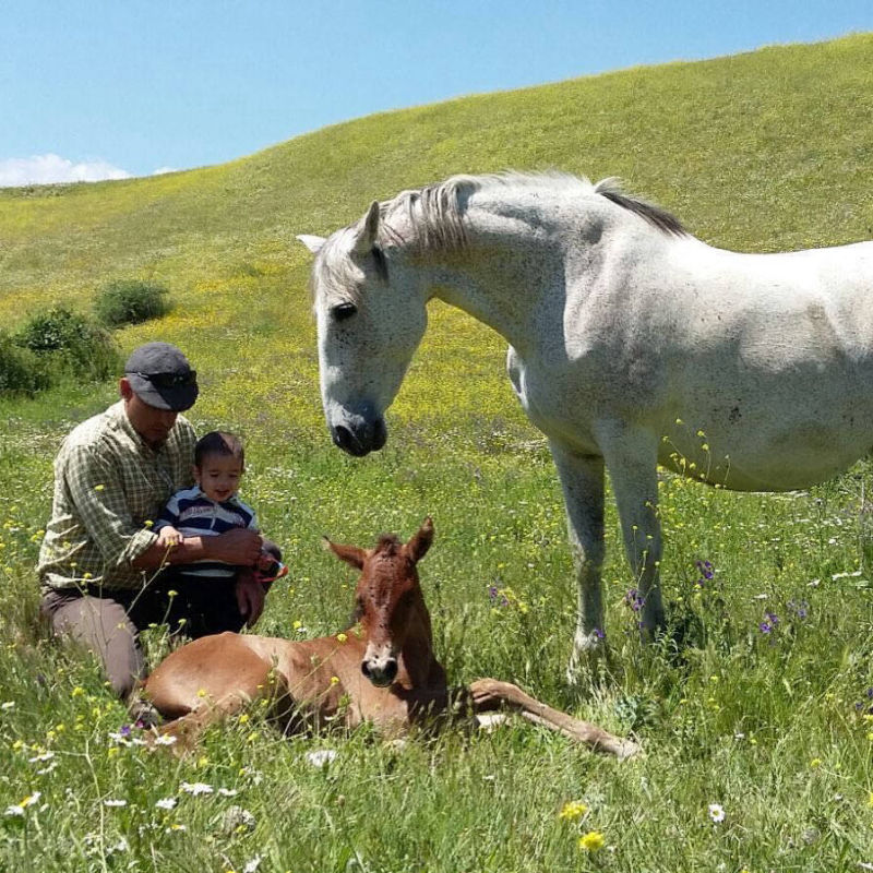 Amor por los caballos desde pequeños