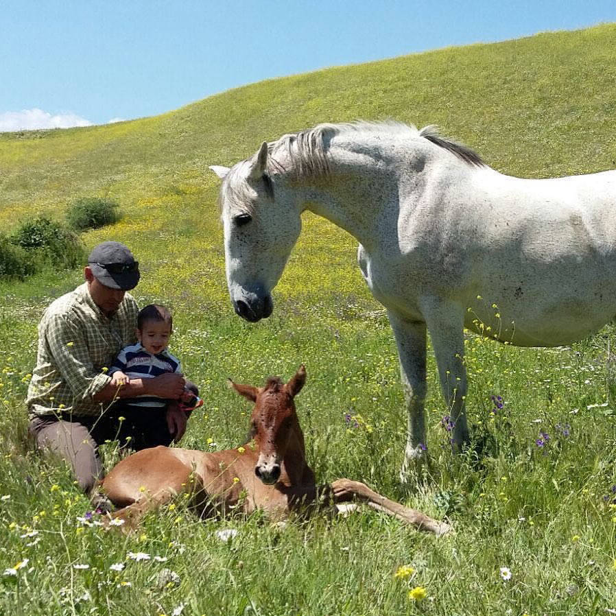 Amor por los caballos desde pequeños